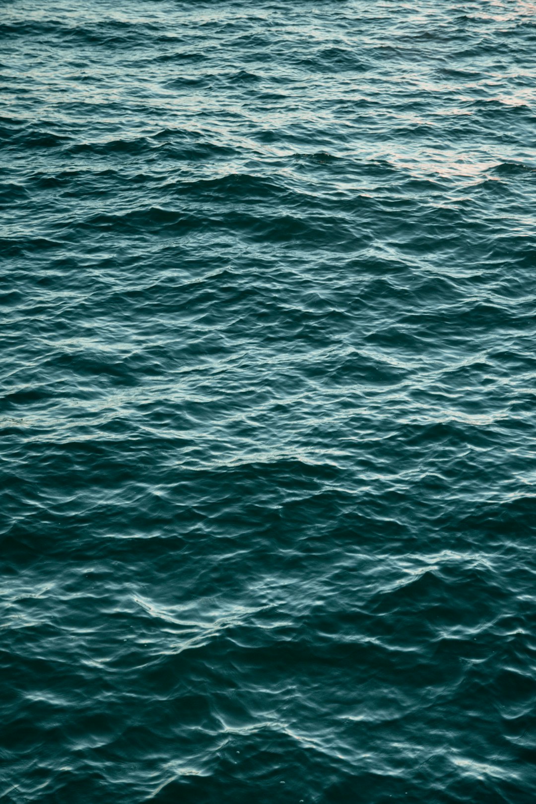 Treinamento em Salvatagem